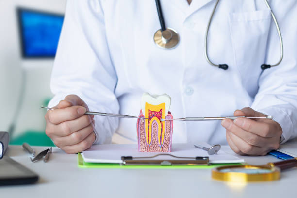 Best Pediatric Emergency Dentist in Allyn, WA